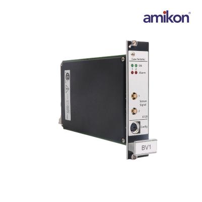 Módulo de monitoreo de vibración de carcasa de velocidad EMERSON A6120
    