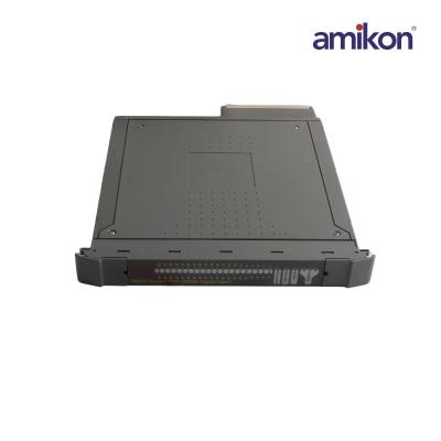 Módulo de entrada digital ICS TRIPLEX T8423
    <!--放弃</div>-->