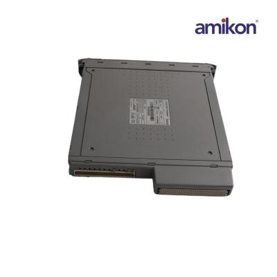 Interfaz de expansión ICS TRIPLEX T8310C