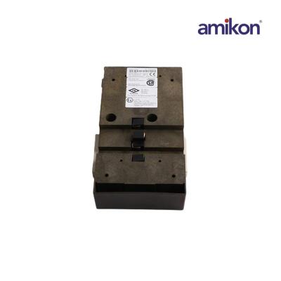 EMERSON KJ2221X1-EA1 12P3241X012 Portador Repetidor Sisnet