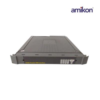 ICS TRIPLEX T9902 AAdvance 20 Fusible de salida de repuesto 10A