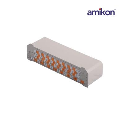 EMERSON 1X00691H01 Módulo de fuente de alimentación OVATION