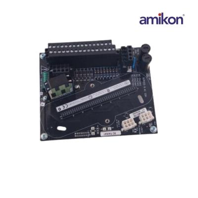 Módulo de entrada analógica Honeywell 8C-TAIXA1 51307127-175