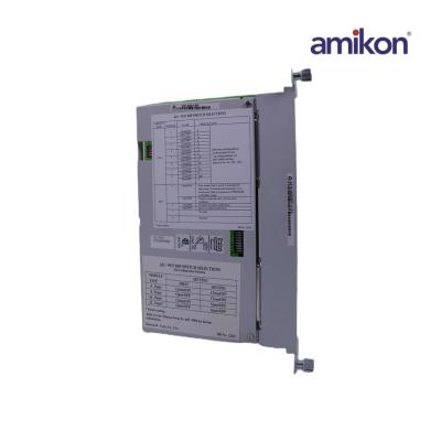 Módulo de E/S paralelo Honeywell 621-9937