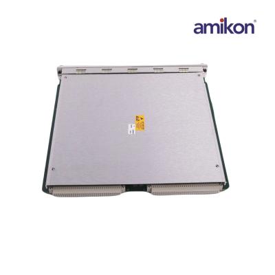 Módulo de monitor de temperatura Bfully Nevada 3500/60 163179-01